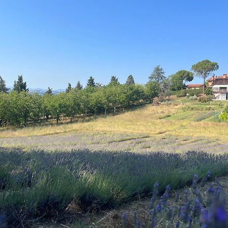Agriturismo Villa Beatrice Mondavio Buitenkant foto
